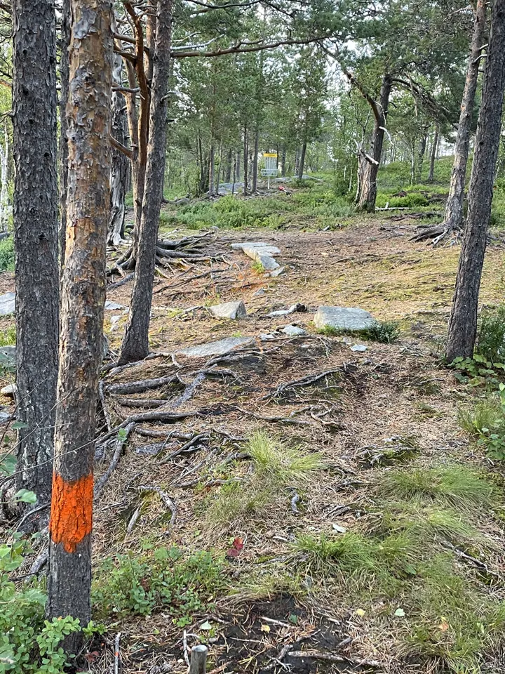 Discgolfbanen